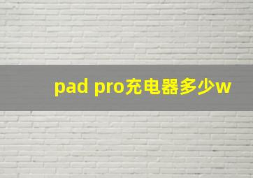 pad pro充电器多少w